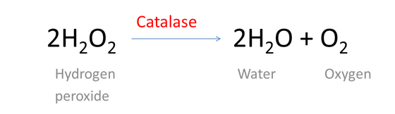 Hydrogen Peroxid