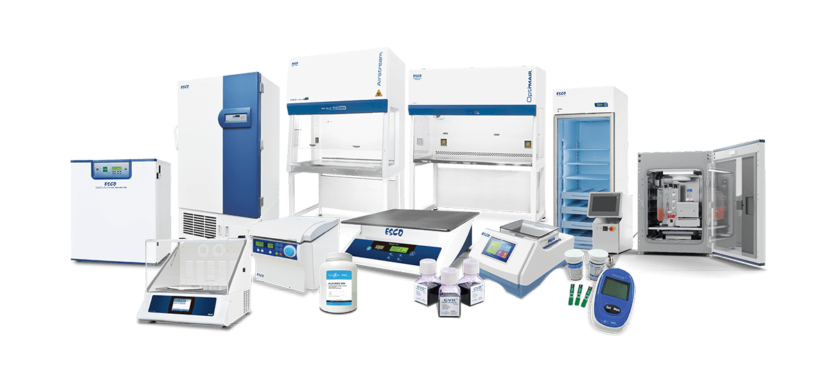 Essential Laboratory Equipment for Cell Culture Research