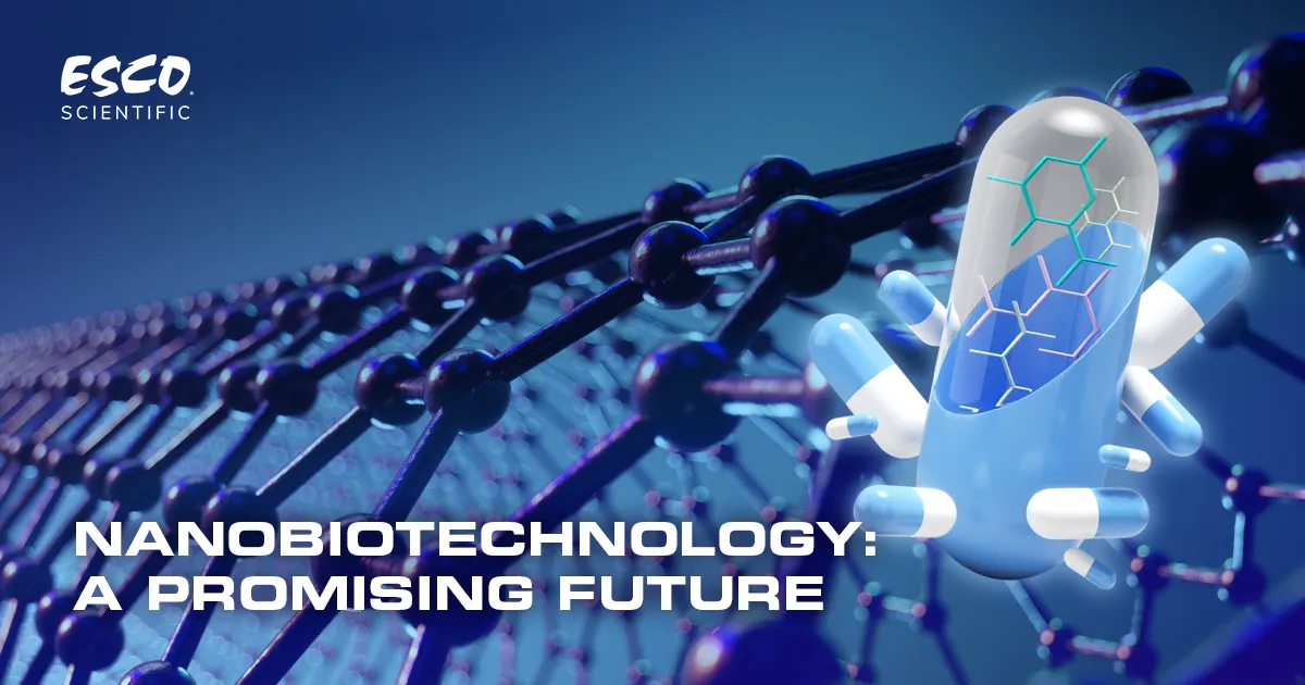 Nanobiotechnology: A Promising Future