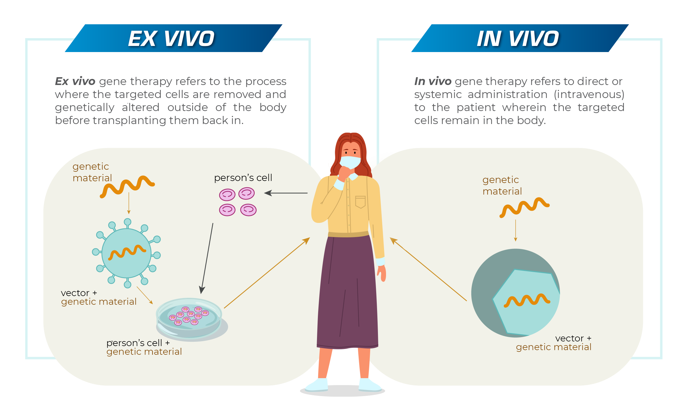 How Does Gene Therapy Work Esco Scientific