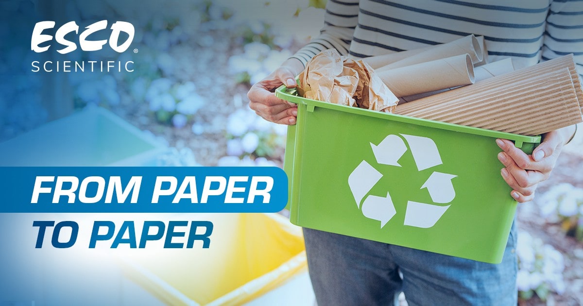 How Paper is Recycled: Step-by-Step Process (and Benefits Too