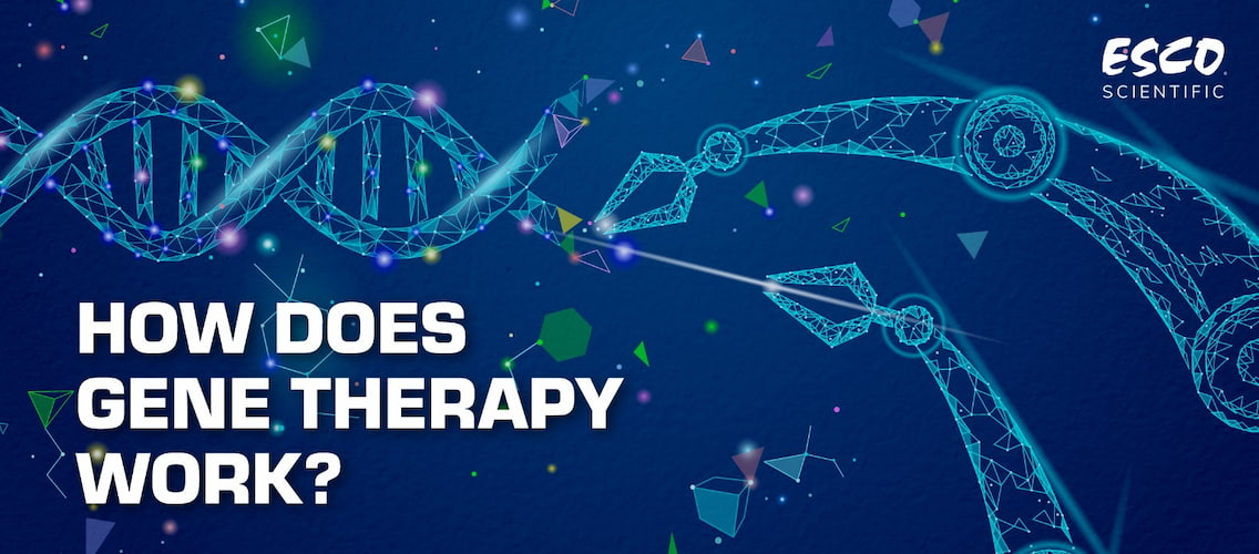 How Does Gene Therapy Work Esco Scientific