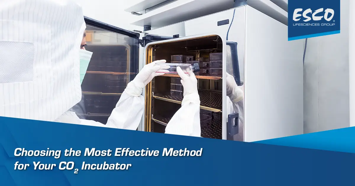 Choosing the Most Effective Sterilization Method for Your CO₂ Incubator